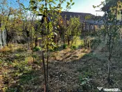 Casă primitoare, ideală pentru familie sau mică afacere 