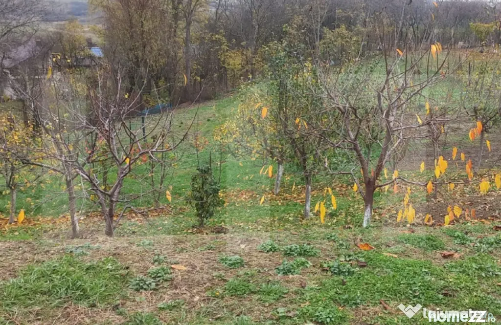 Casă bătrânească cu teren generos – 1.807 mp, Tulburen