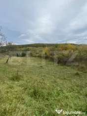 Teren 77 ari | Zona Valea Rusului | Posibilitate parcelare ? 