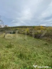 Teren 77 ari | Zona Valea Rusului | Posibilitate parcelare ?