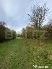 Teren 77 ari | Zona Valea Rusului | Posibilitate parcelare ? 