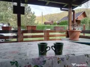Cabană + teren generos, 60 mp utili, 30 km de Deva - Boz 
