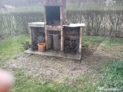 Cabană + teren generos, 60 mp utili, 30 km de Deva - Boz 