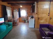 Cabană + teren generos, 60 mp utili, 30 km de Deva - Boz 