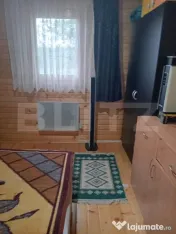 Cabană + teren generos, 60 mp utili, 30 km de Deva - Boz 