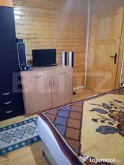 Cabană + teren generos, 60 mp utili, 30 km de Deva - Boz 