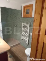 Cabană + teren generos, 60 mp utili, 30 km de Deva - Boz 