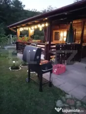 Cabană + teren generos, 60 mp utili, 30 km de Deva - Boz 