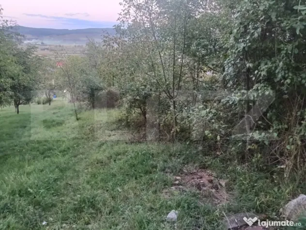 Teren intravilan parcelabil 600–900 mp, utilități, zona