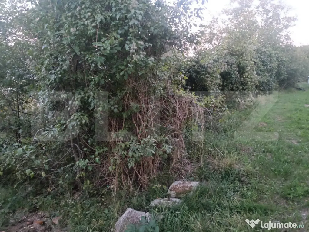 Teren intravilan parcelabil 600–900 mp, utilități, zona