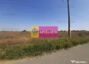Teren pentru case in 1 Decembrie 