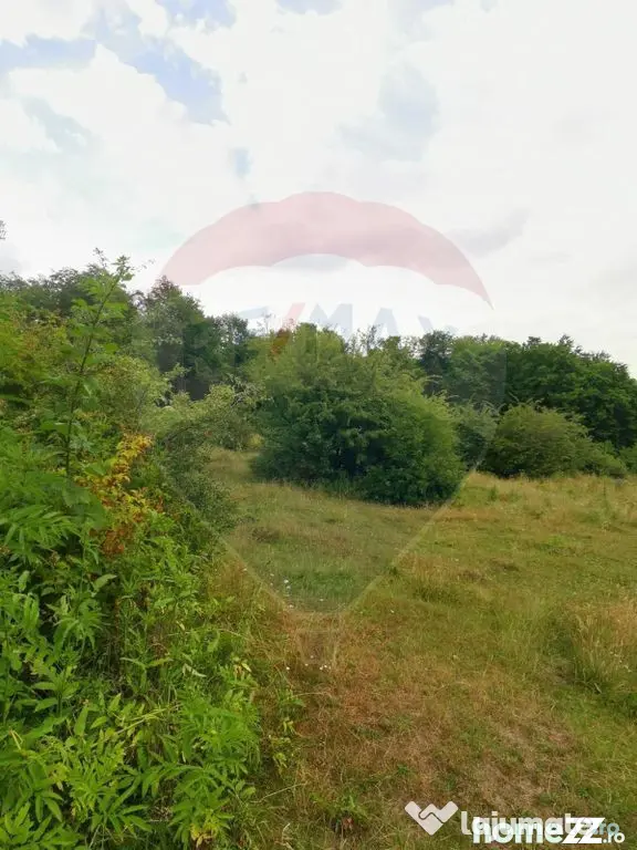 Teren ideal pentru glamping în Vlădeni, aproape de Brașov - Dumbravita (Brasov)