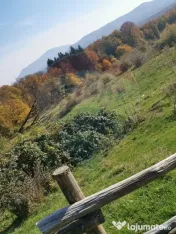 Teren ideal pentru glamping în Vlădeni, aproape de Brașov 