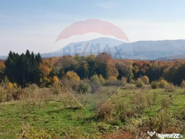Teren ideal pentru glamping în Vlădeni, aproape de Brașov