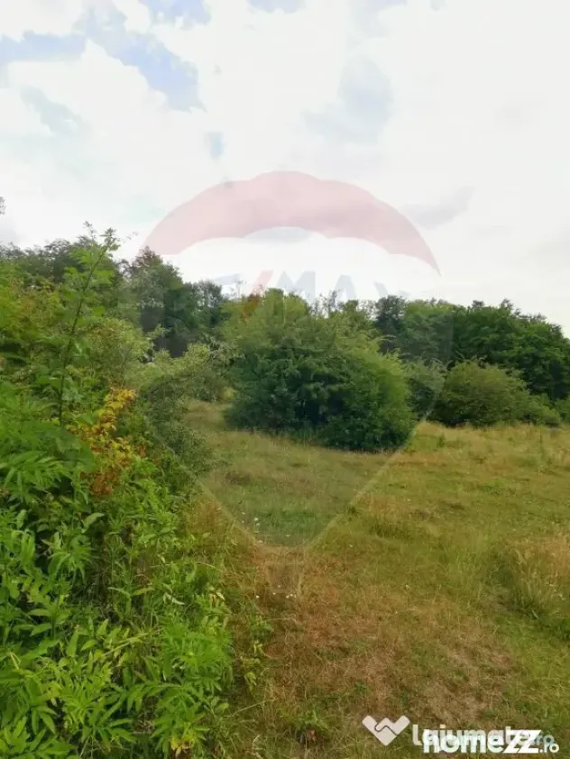 Teren ideal pentru glamping în Vlădeni, aproape de Brașov