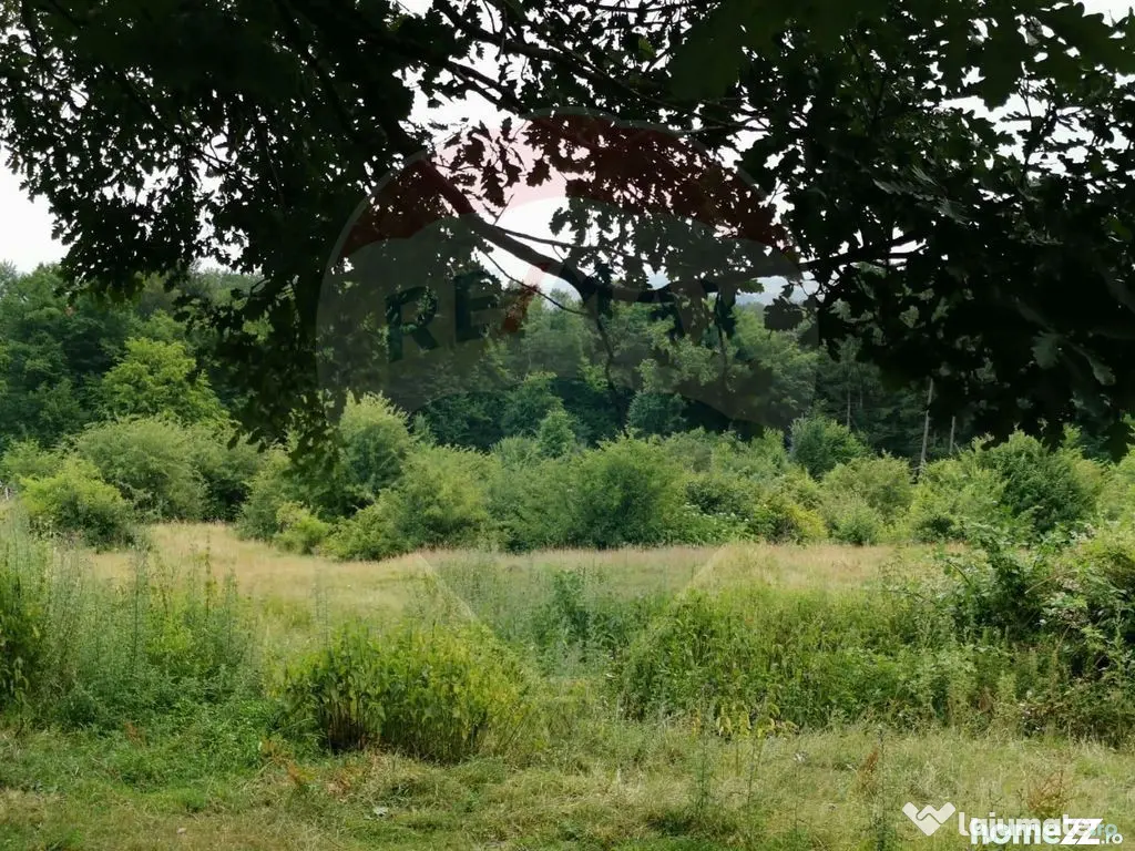 Teren ideal pentru glamping în Vlădeni, aproape de Brașov