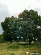 Teren ideal pentru glamping în Vlădeni, aproape de Brașov 