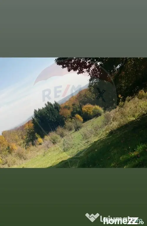 Teren ideal pentru glamping în Vlădeni, aproape de Brașov