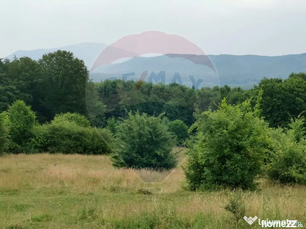 Teren ideal pentru glamping în Vlădeni, aproape de Brașov
