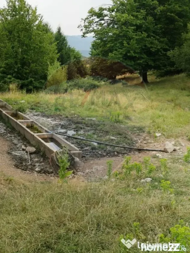 Teren ideal pentru glamping în Vlădeni, aproape de Brașov
