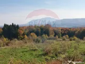 Teren ideal pentru glamping în Vlădeni, aproape de Brașov 