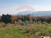 Teren ideal pentru glamping în Vlădeni, aproape de Brașov 