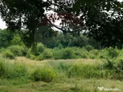 Teren ideal pentru glamping în Vlădeni, aproape de Brașov 
