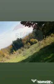 Teren ideal pentru glamping în Vlădeni, aproape de Brașov 