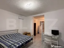 Garosniera spațioasă la casa, 50 mp, zona Traian