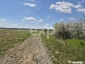 Vanzare casa in Albota Arges 3 camere constructie 2024