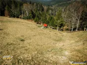 In notabil areal, teren extravilan pe 5.800 mp, Ojdula, Cova 