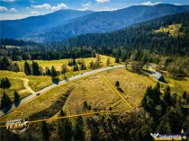 In notabil areal, teren extravilan pe 5.800 mp, Ojdula, Cova