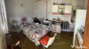 ???? Proprietate mixtă cu 2 spații comerciale și casă lo 