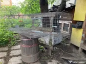 Cusca iepuri 2 compartimente