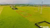COMISION 0% | Teren 1,189mp intravilan | Sanpetru Strada ... 
