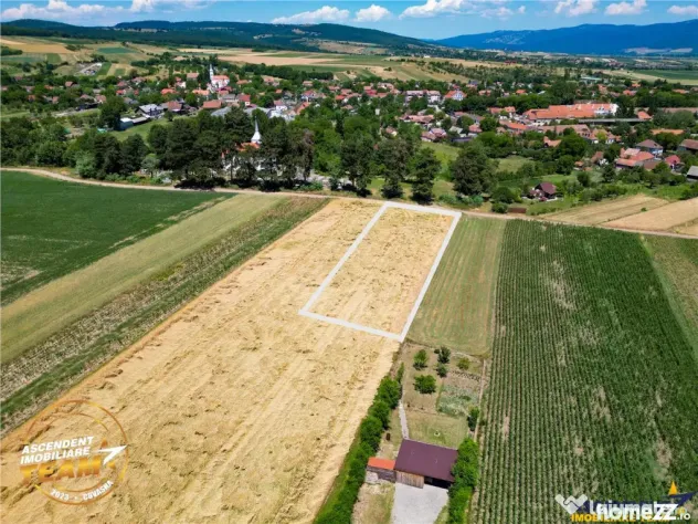 FILM! Teren extravilan, Valea Crisului, Covasna