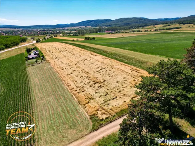 FILM! Teren extravilan, Valea Crisului, Covasna