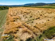 FILM! Teren extravilan, Valea Crisului, Covasna 