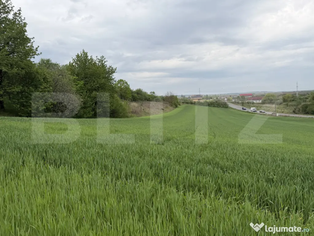 Teren intravilan, in localitatea Bobota in suprafata de 12.5