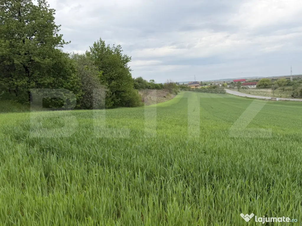 Teren intravilan, in localitatea Bobota in suprafata de 12.5