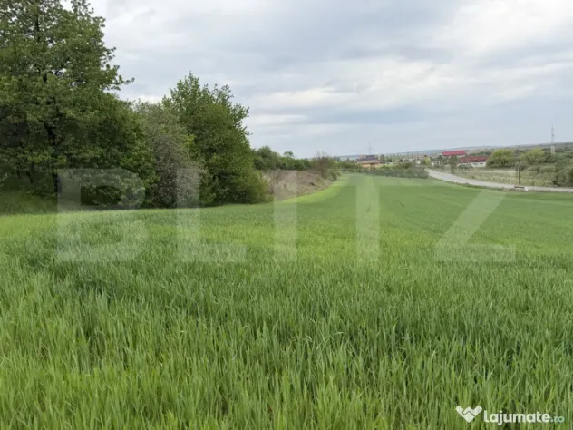Teren intravilan, in localitatea Bobota in suprafata de 12.5