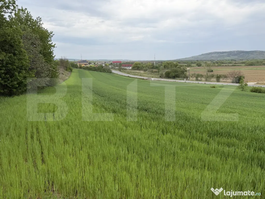 Teren intravilan, in localitatea Bobota in suprafata de 12.5