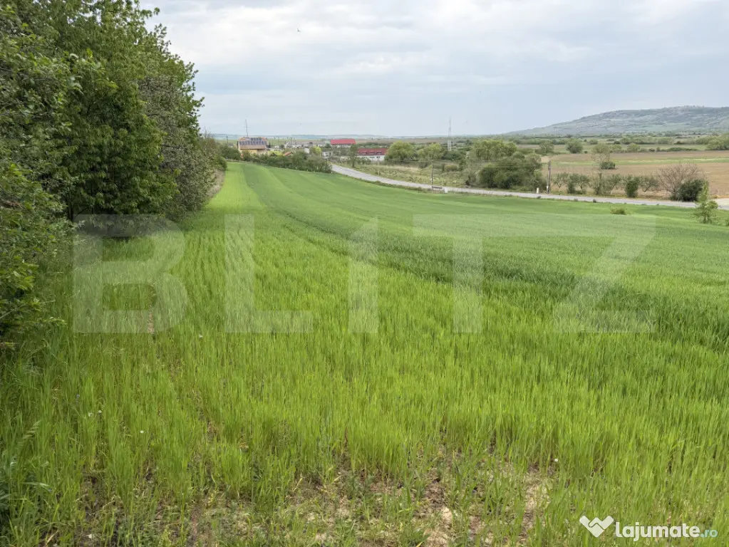 Teren intravilan, in localitatea Bobota in suprafata de 12.5