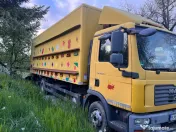 Vând camion apicol omologat 