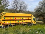 Vând camion apicol omologat 