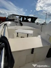 UNSINKABLE Boston Whaler 150 Super Sport + Mercury 60HP + Peridoc 