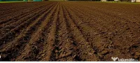 Teren Intravilan Zona Moara Carp 