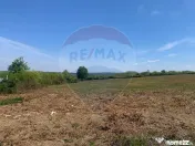 De vânzare teren intravilan 1,628mp - Paleu/Drumul DC 37 