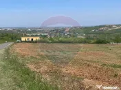 De vânzare teren intravilan 1,628mp - Paleu/Drumul DC 37 