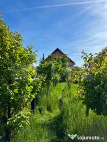Casă individuală, 190 mp, curte generoasă cu grădină, z